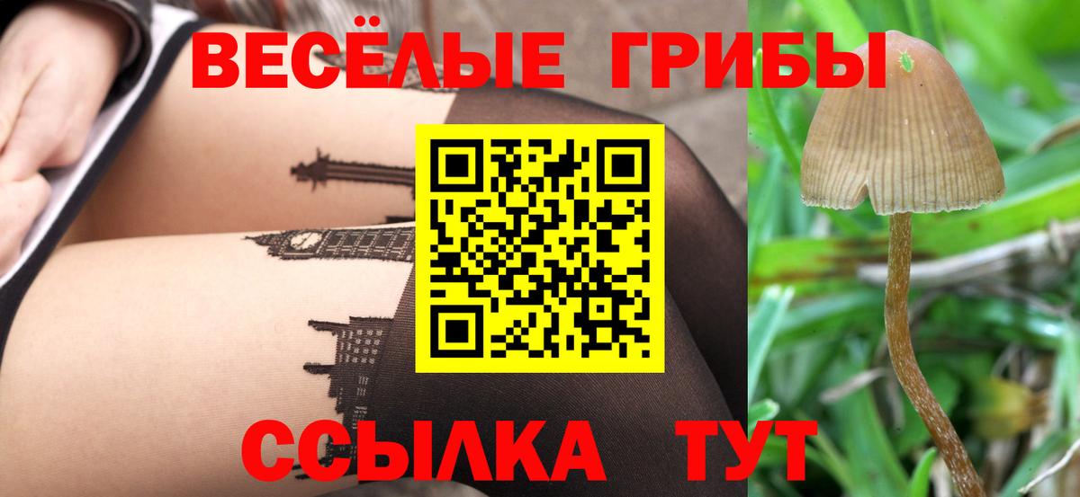 Псилоцибиновые грибы мицелий Чапаевск